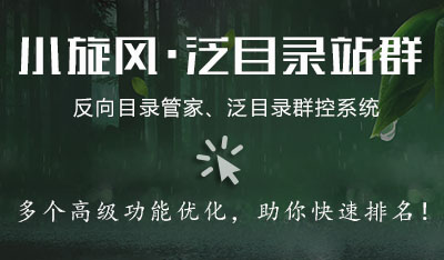 小旋风·泛目录站群 V9
